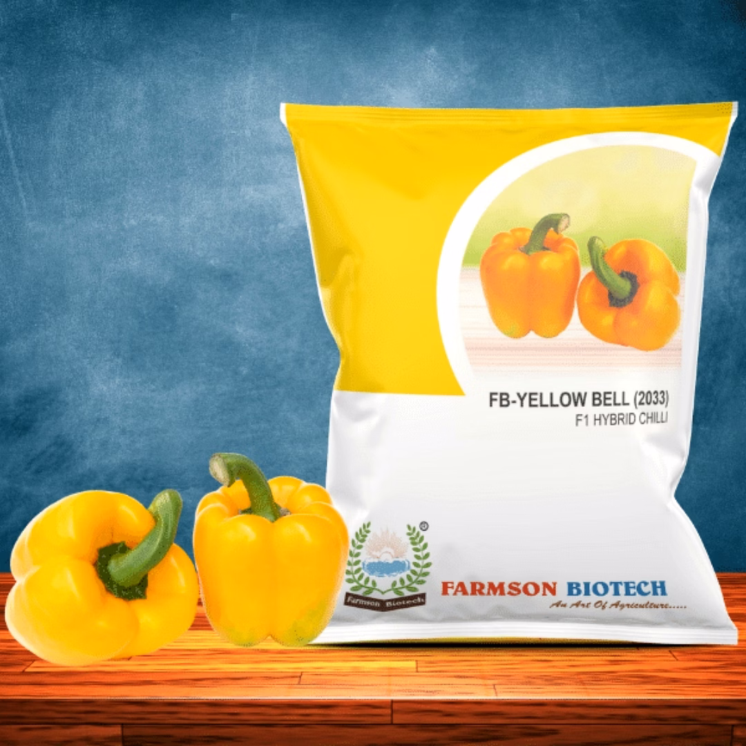 fb-yellow bell (2033) f1 hybrid sweet pepper seeds