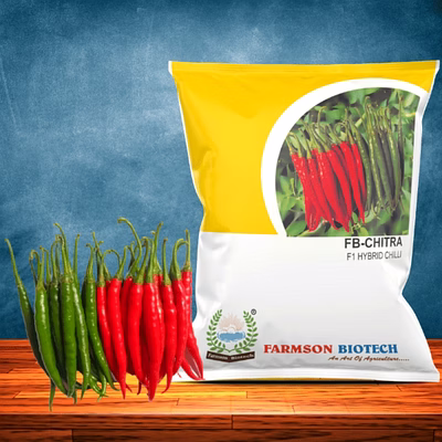 fb-chitra f1 hybrid chilli seeds (dual purpose)