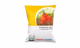 FB-ORANGE BELL (2044) F1 HYBRID SWEET PEPPER SEEDS