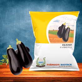 fb-ronak f1 hybrid brinjal