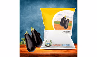 FB-RONAK F1 HYBRID BRINJAL