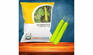 FB-VAMGOLD PLUS F1 HYBRID BOTTLE GOURD SEEDS