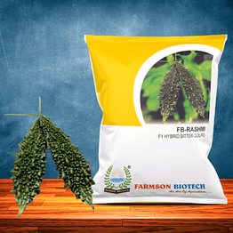 fb-rashmi f1 hybrid bitter gourd seeds