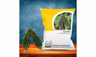 FB-RASHMI F1 HYBRID BITTER GOURD SEEDS