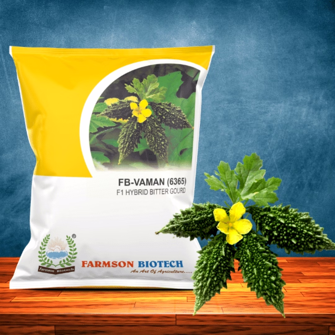 fb-vaman (6365) f1 hybrid bitter gourd seeds (small sized or chocolate type)