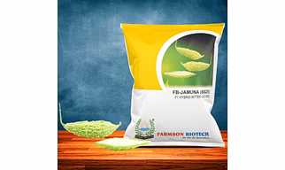 FB-JAMUNA (6525) F1 HYBRID WHITE BITTER GOURD SEEDS (SHORT)