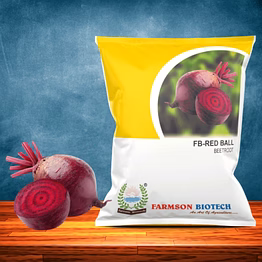 fb-red ball beetroot seeds