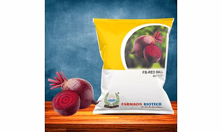 FB-RED BALL Beetroot Seeds