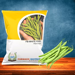 fb-white pearl french bean seeds