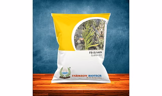 FB-SUVARN CLUSTERBEAN SEEDS
