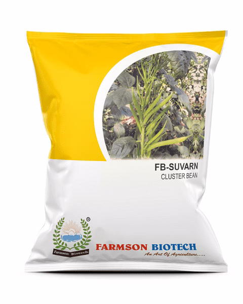 FB-SUVARN CLUSTERBEAN SEEDS image 2