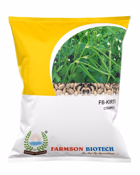 FB-KIRTI Cowpea seeds image 7