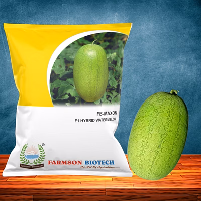 fb-maxon f1 hy. watermelon seeds