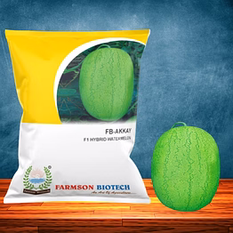 fb-akkay f1 hy watermelon seeds