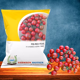 fb-red pearl (round) f1 hybrid cherry tomato seeds