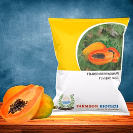 fb-red berry (dwarf) f1 hybrid papaya seeds
