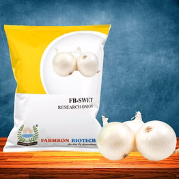 fb-swet onion seeds (white)
