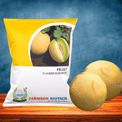fb- lily f1 hybrid muskmelon seeds