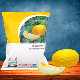 fb-goldcrest f1 hy. muskmelon seeds