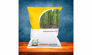 FB-PKM 2 Drum Stick (Moringa) SEEDS