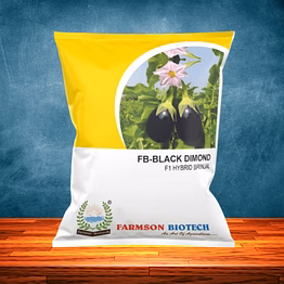 fb- black dimond f1 hybrid brinjal (eggplant) seeds