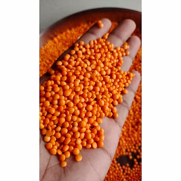 red lentils