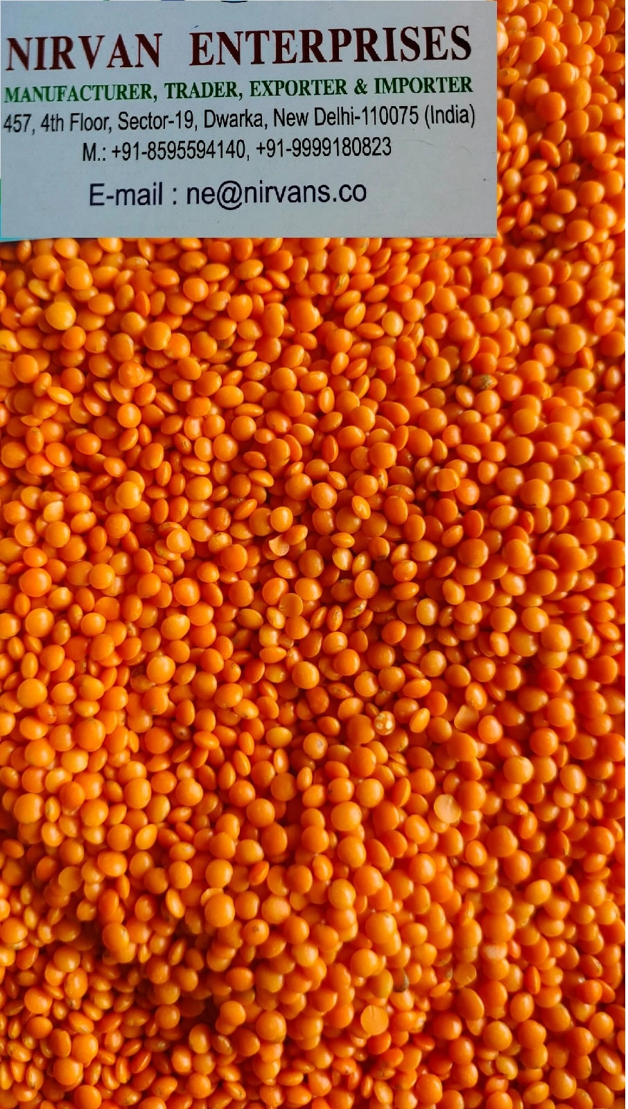 Red Lentils-1