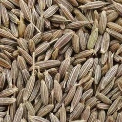 Cumin seeds Singapore 99-NE-0910-3