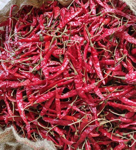 Dry Red chili-5