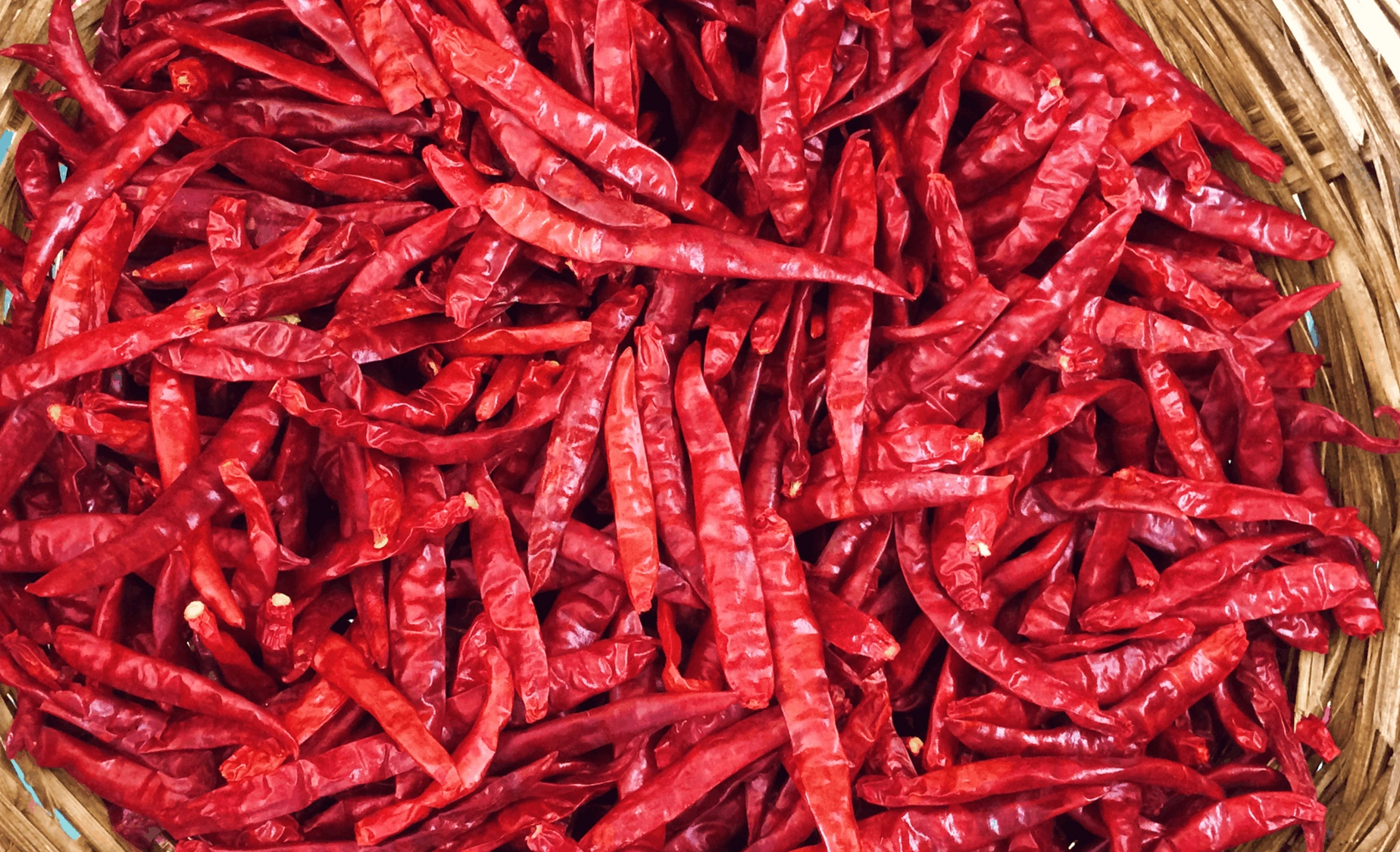 Dry Red chili-4