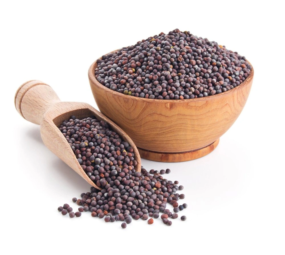 Black Mustard seed-3