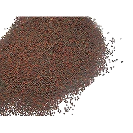 Rai seeds