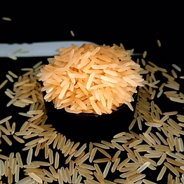 1509 golden basmati rice