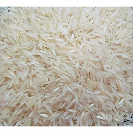 1401 pussa stream rice