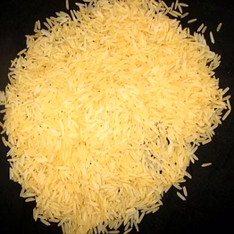 sharbati golden rice
