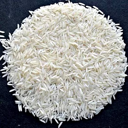sugandha stream rice