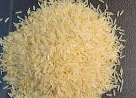 Sugandha Golden Rice-4