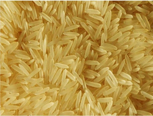 PR11 - PR14 GOLDEN SELLA RICE-3