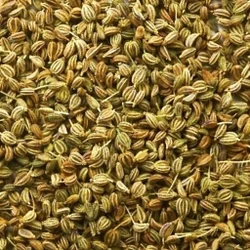 Ajwain-NE-0910-1