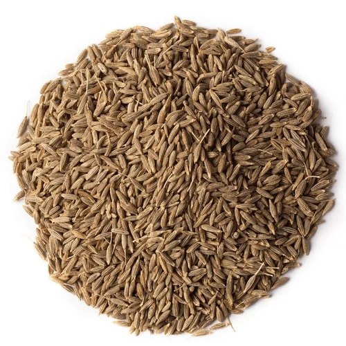 Cumin seeds Singapore 99-2