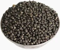 Black Whole Urad-NE-0713-13