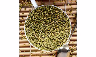 Whole Coriander Seeds