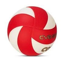 CVB 500 Volley Ball-2