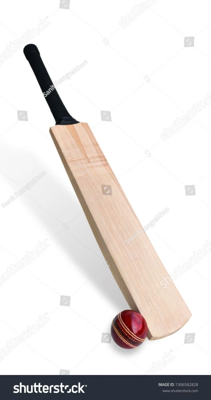 Cricket Bat Jumbo Drive-2