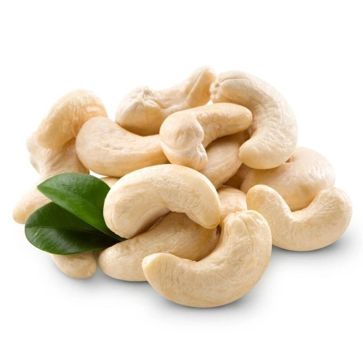 Cashew-NE-0801-21