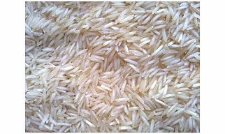 PR11 - PR14 STEAM RICE