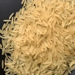 1401 Pusa Golden Rice-NE-1006-12