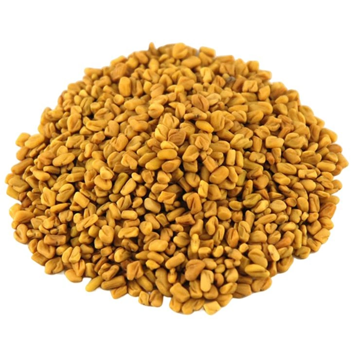 Fenugreek-1