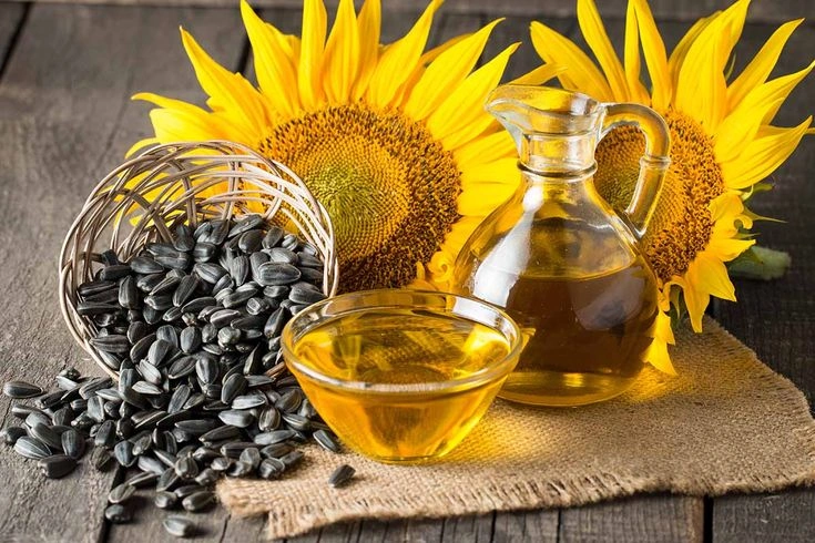 Sunflower Oil-1