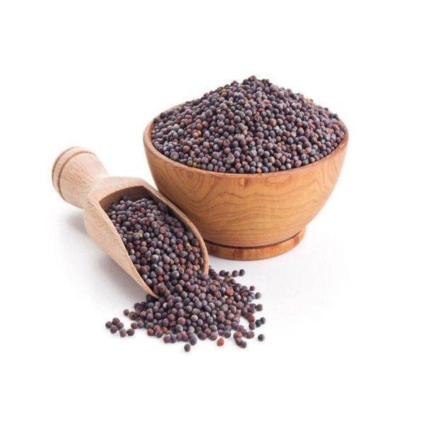 Black Mustard seed-NE-0910-6